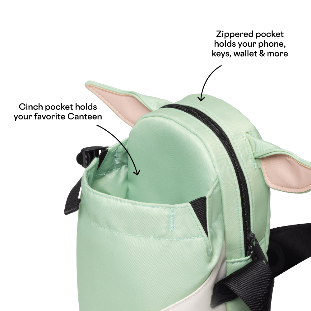 disney-sling-h4 53593b3e49e2--Sling-PDP-4.png