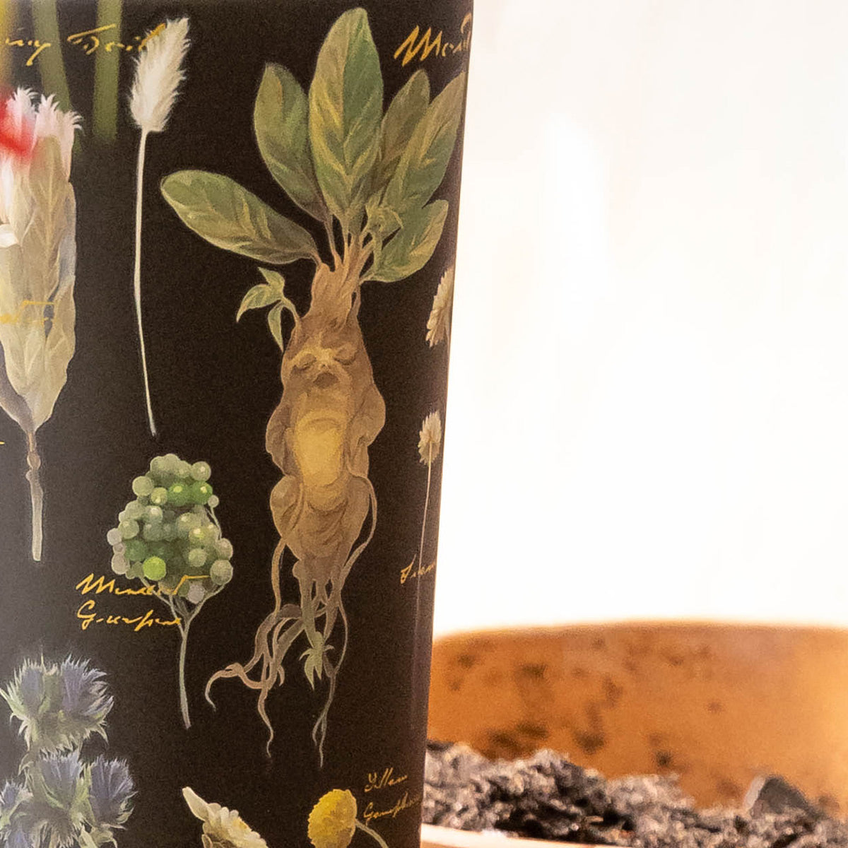 harry-potter-cold-cup-z1 Herbology-3.jpg